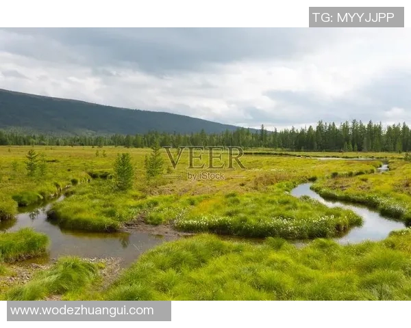 亚马尔地区的能源战略与全球气候变化的互动分析 亚马尔地区的能源战略与全球气候变化的互动分析